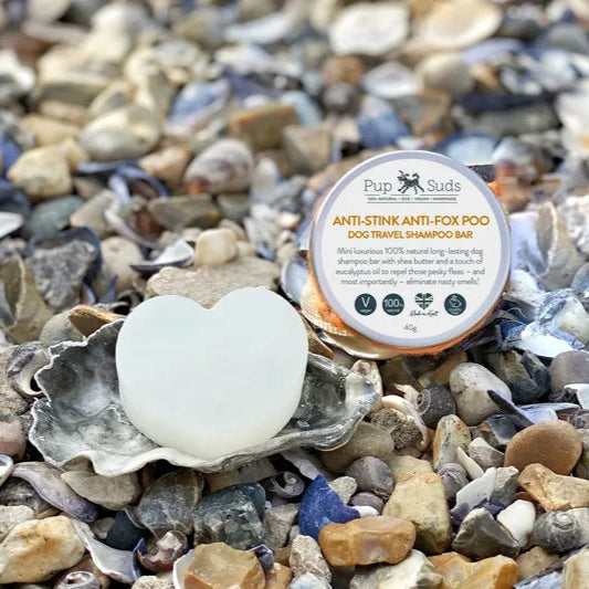 Savon de voyage pour chien de Pupsuds présenté sur une plage de galet - le savon est à coté de sa boite