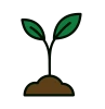 image d'une jeune pousse, un petit tas de terre et la plante