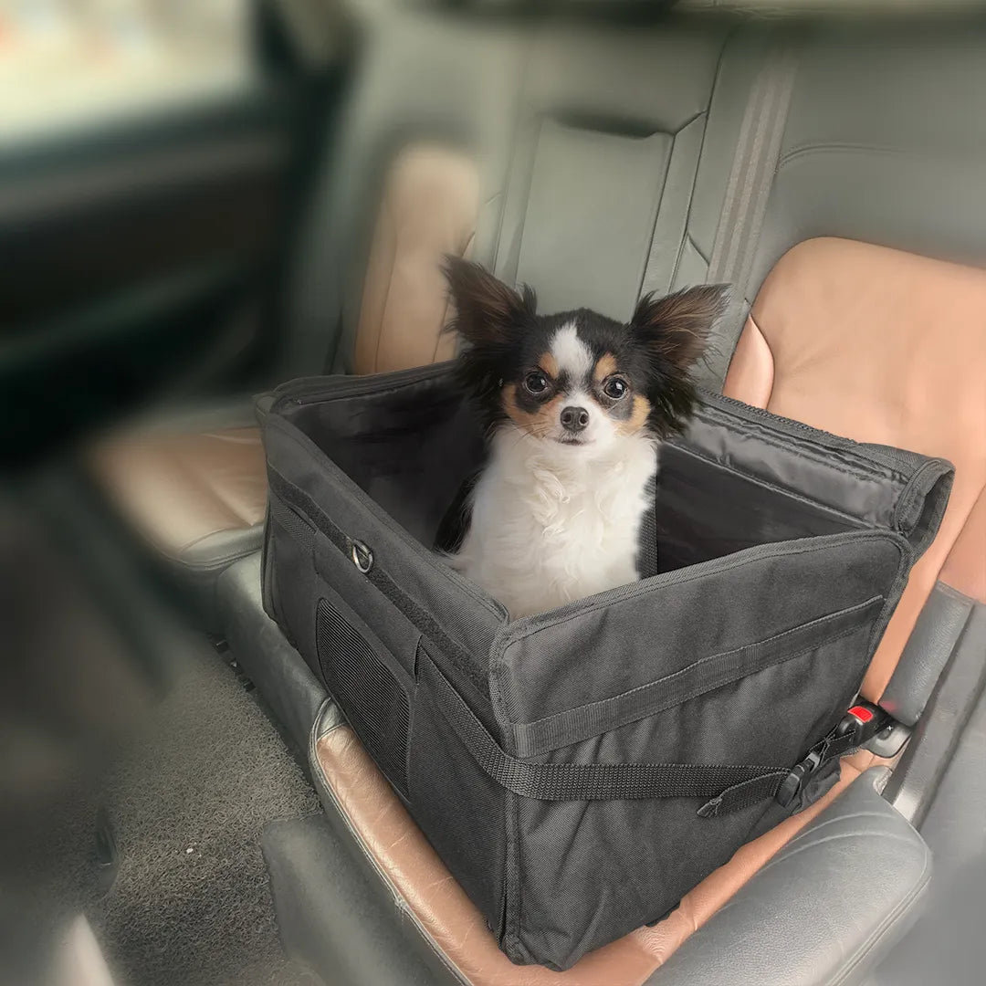 Panier de voiture 2-en-1 ISOFIX – mise en situation avec un chien installé dans la voiture