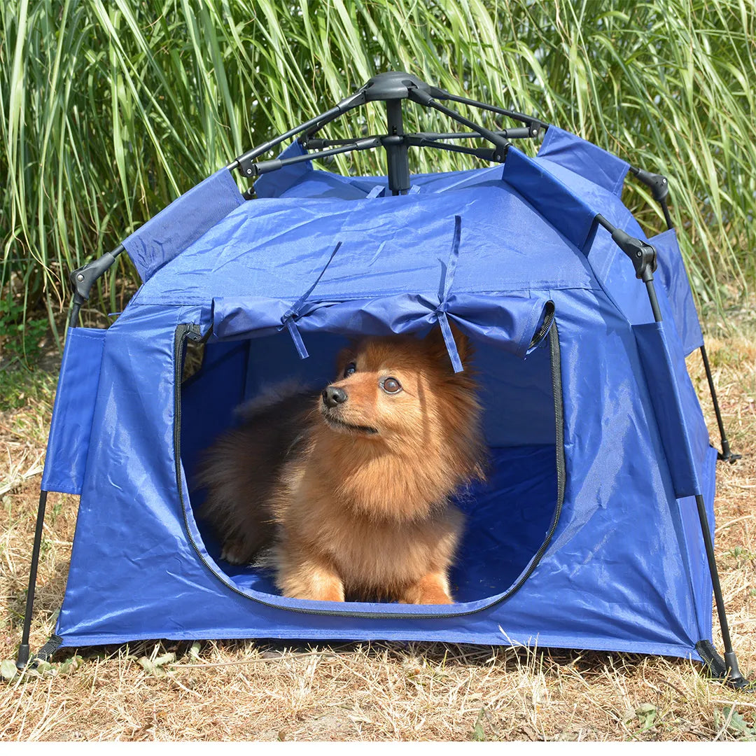 Tente pop-up pour animaux de compagnie en vue de face en situation avec un chien à l'intérieur 