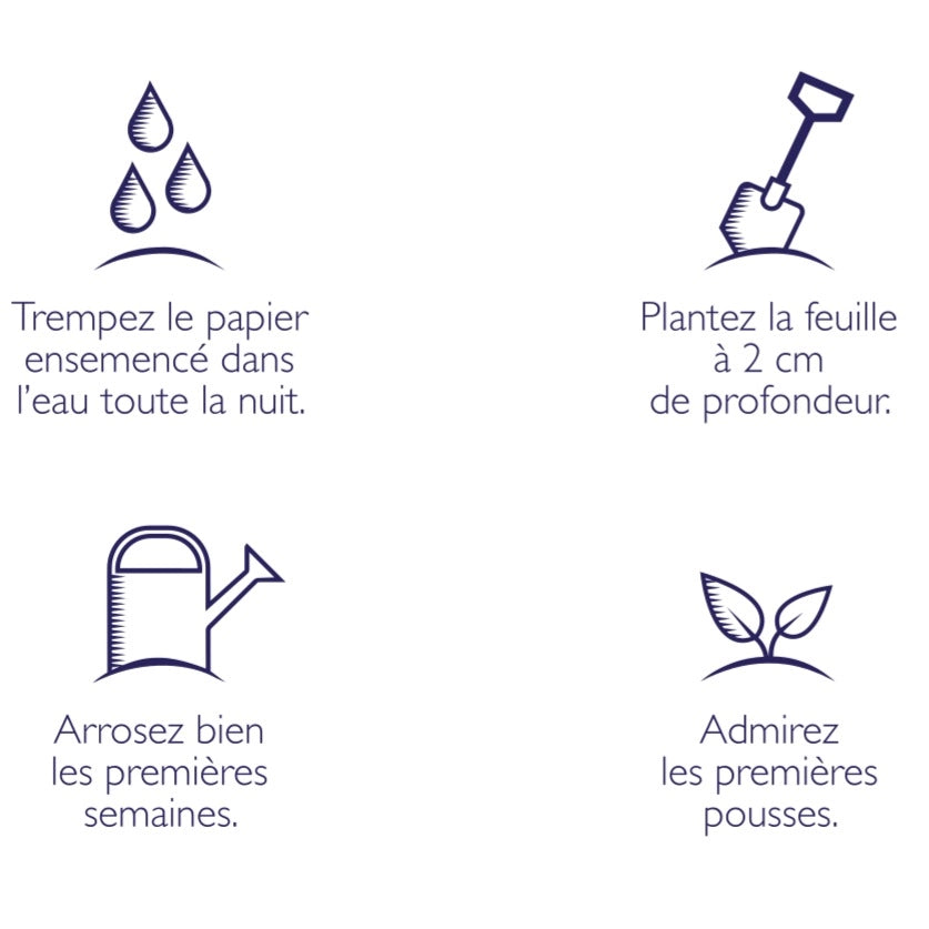 Option emballage cadeau à semer - Par article (si nécessaire, indiquez les articles à emballer en commentaire)