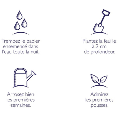 Option emballage cadeau à semer - Par article (si nécessaire, indiquez les articles à emballer en commentaire)